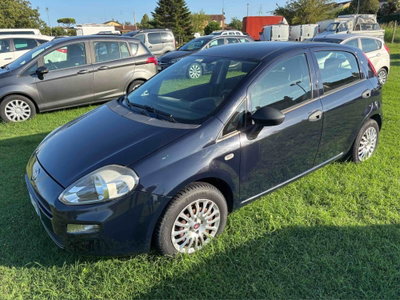 Fiat Punto 1.2 8V 5 porte Street usata