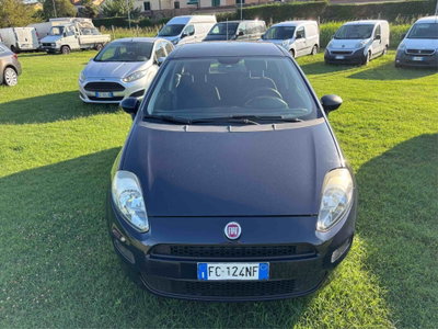 Fiat Punto 1.2 8V 5 porte Street (2)