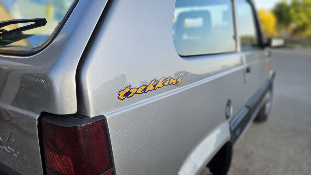 Fiat Panda 1100 i.e. cat 4x4 Trekking (14)