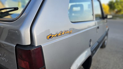 Fiat Panda 1100 i.e. cat 4x4 Trekking (14)