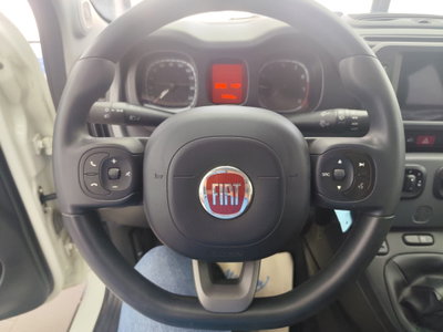 Fiat Panda 1.0 FireFly S&S Hybrid City Cross (8)