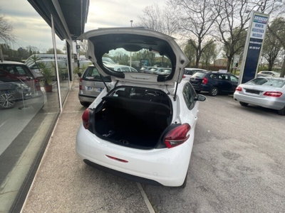Peugeot 208 BlueHDi 100 Stop&Start 5 porte Active (6)
