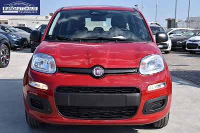 Fiat Panda 1.0 firefly hybrid Icon s&s 70cv (2)