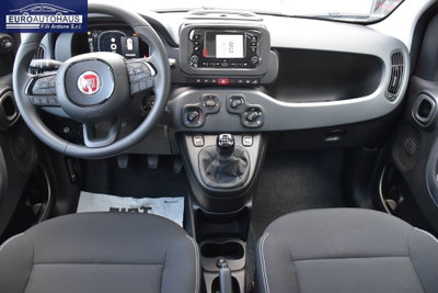Fiat Panda 1.0 firefly hybrid Icon s&s 70cv (8)