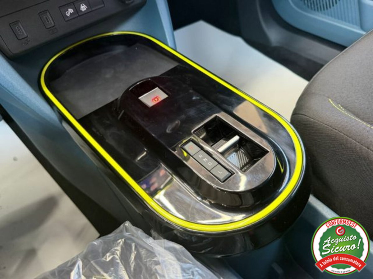 Fiat Grande Panda 1.2 Icon 100cv (19)