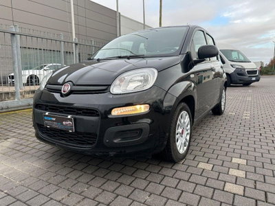 Fiat Panda 1.0 FireFly S&S Hybrid Easy usata