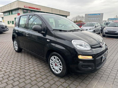 Fiat Panda 1.0 FireFly S&S Hybrid Easy (5)