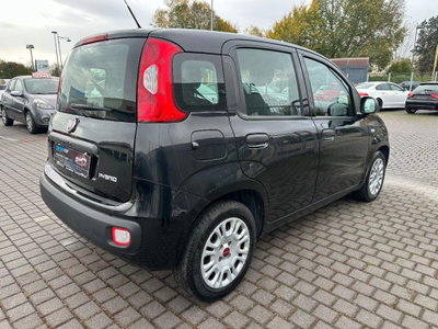 Fiat Panda 1.0 FireFly S&S Hybrid Easy (6)