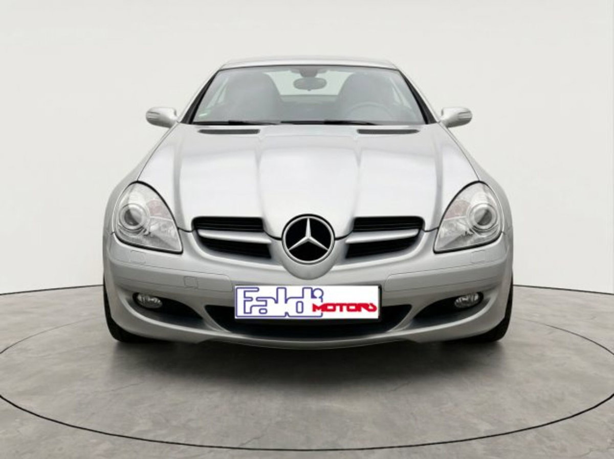 Mercedes-Benz SLK 200 Kompressor cat (2)