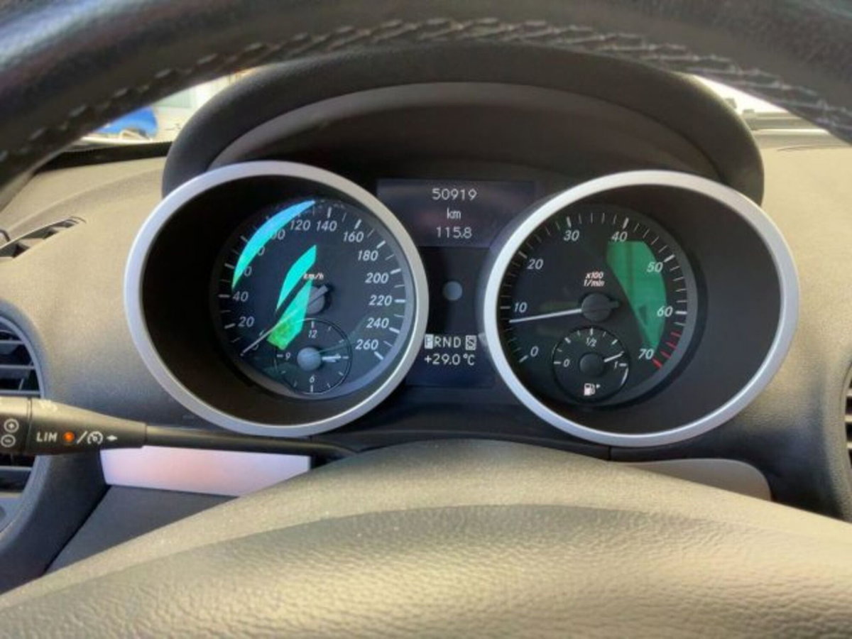 Mercedes-Benz SLK 200 Kompressor cat (6)