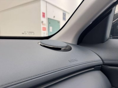 Geely Starray Starray EM-i 1.5 phev Pro auto (11)