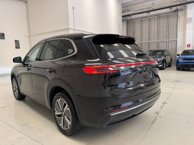 Geely Starray Starray EM-i 1.5 phev Pro auto (4)