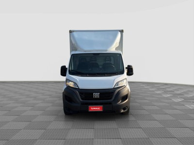 Fiat Ducato Cabinato Cabinato maxi 35 MH1 2.2 mjt3 140cv  AT9 serie 8 (7)