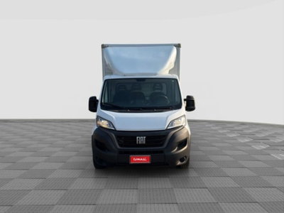 Fiat Ducato Cabinato Cabinato maxi 35 MH1 2.2 mjt3 140cv  AT9 serie 8 (7)