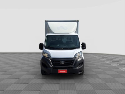 Fiat Ducato Cabinato Cabinato maxi 35 MH1 2.2 mjt3 140cv  AT9 serie 8 (7)