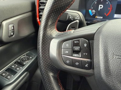 Ford Ranger Pick-up Raptor 2.0 ecoblue 210cv auto (13)