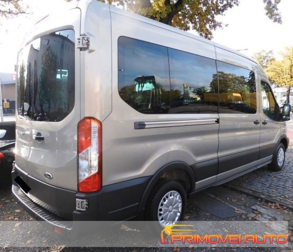 Ford Transit Furgone 350 2.0TDCi EcoBlue 130CV PL-TM Combi Trend N1 (12)