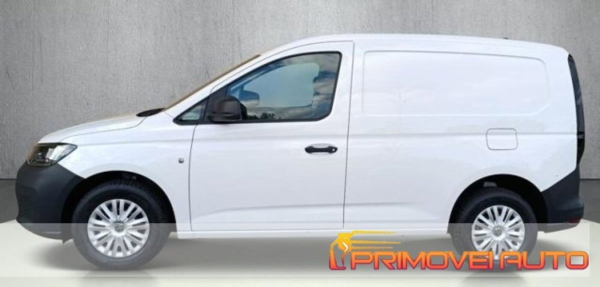 Volkswagen Veicoli Commerciali Caddy 2.0 TDI 102 CV Kombi Business (8)