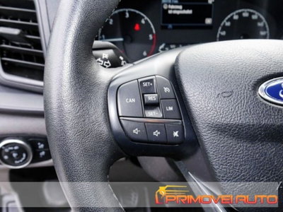 Ford Transit Custom Furgone 320 2.0 EcoBlue 130 PL Combi Trend (11)