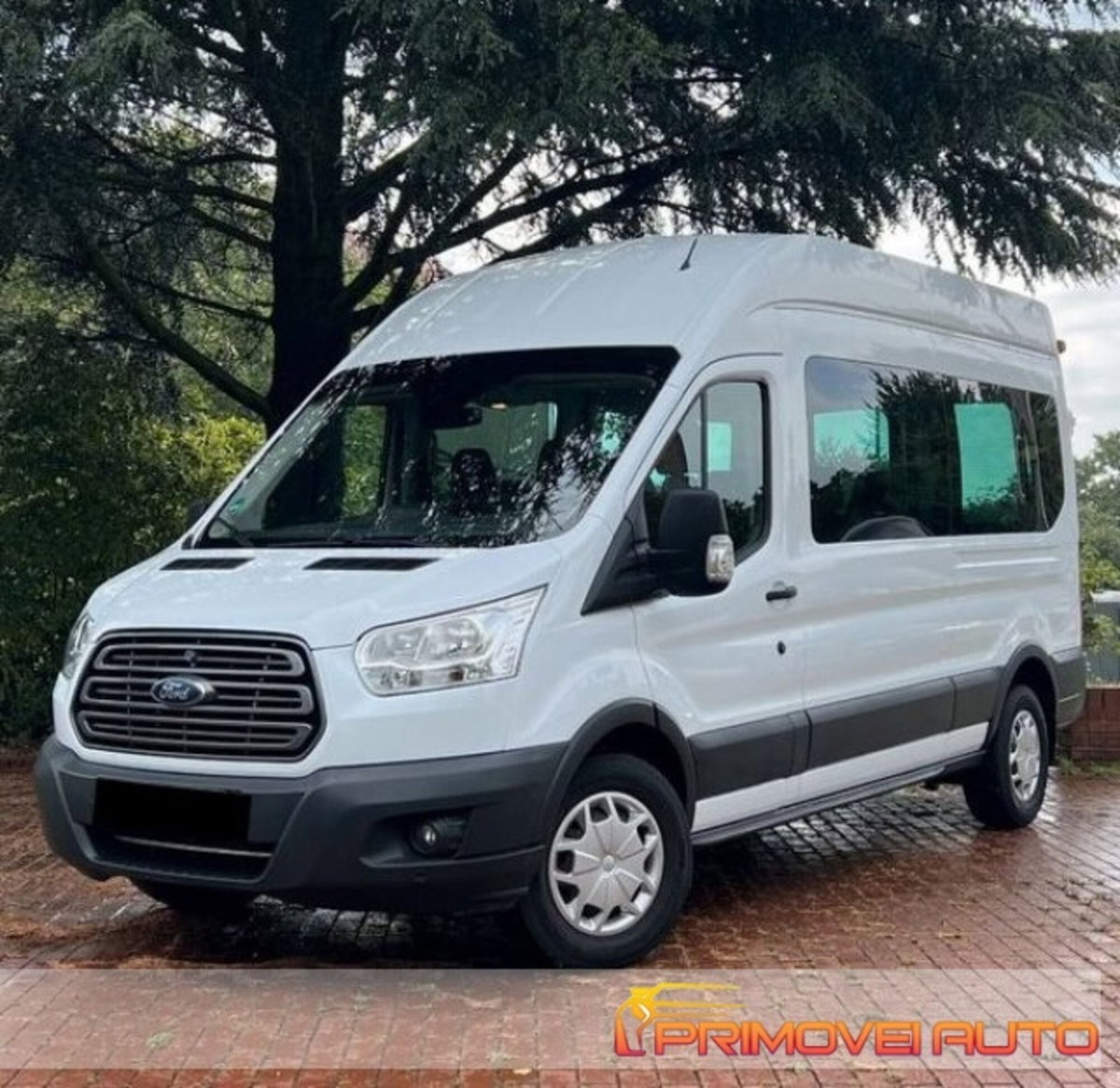 Ford Transit Furgone 350 2.0TDCi EcoBlue 130CV PL-TM Combi Trend N1 (9)