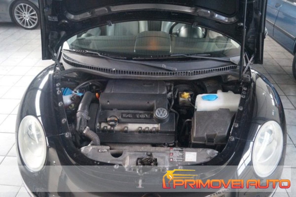 Volkswagen New Beetle Cabrio 16V (11)
