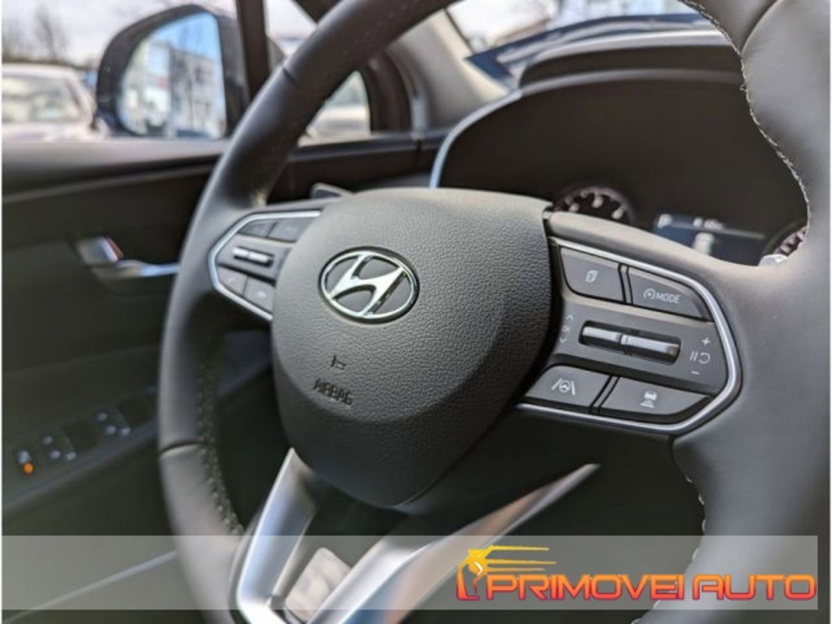 Hyundai Santa Fe 2.2 crdi Xclass 4wd 193cv 7p.ti dct (10)