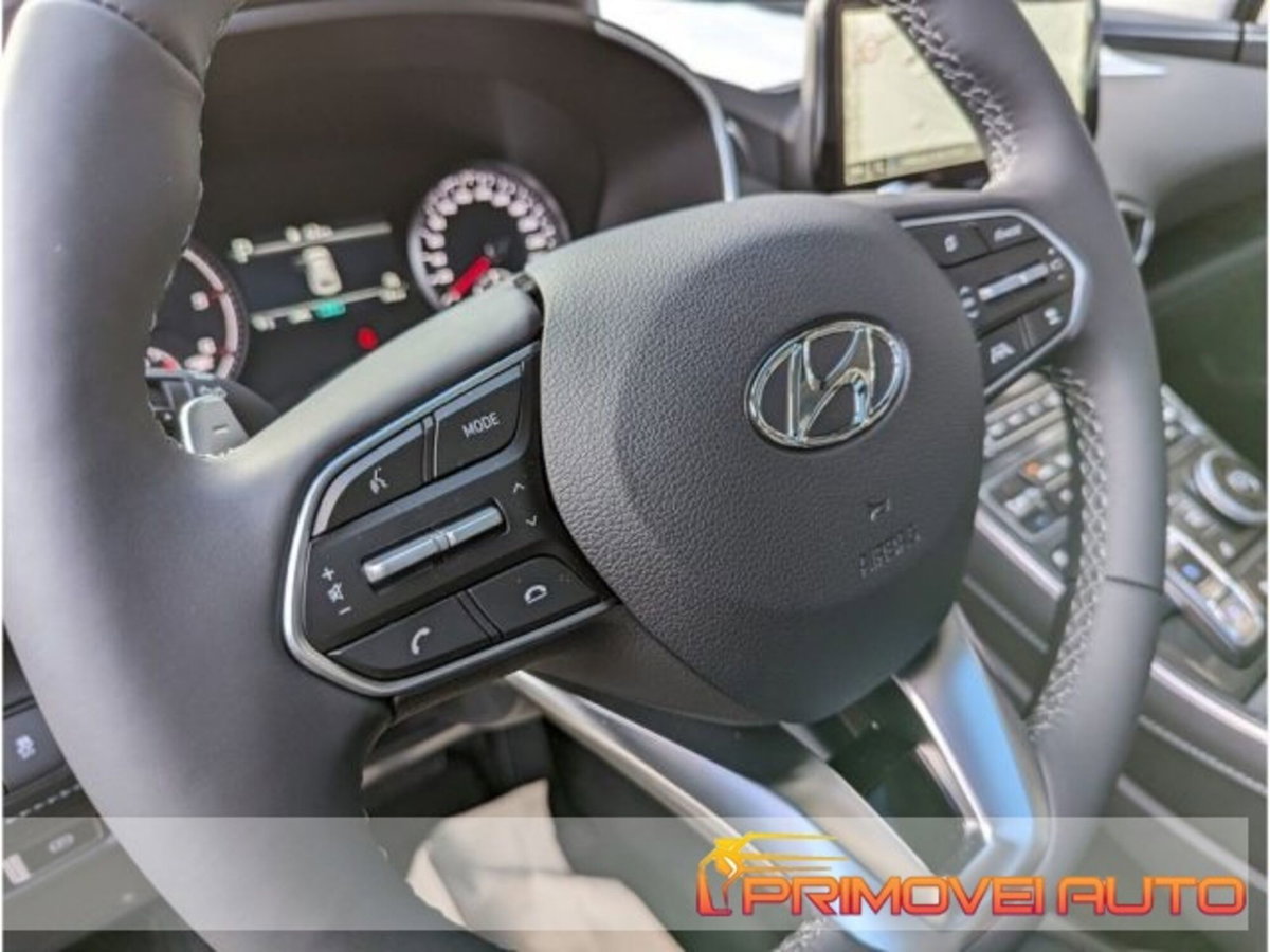 Hyundai Santa Fe 2.2 crdi Xclass 4wd 193cv 7p.ti dct (12)