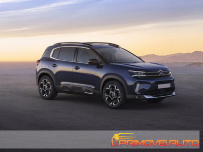 Citroen C5 Aircross 1.5 bluehdi Max s&s 130cv eat8 (13)