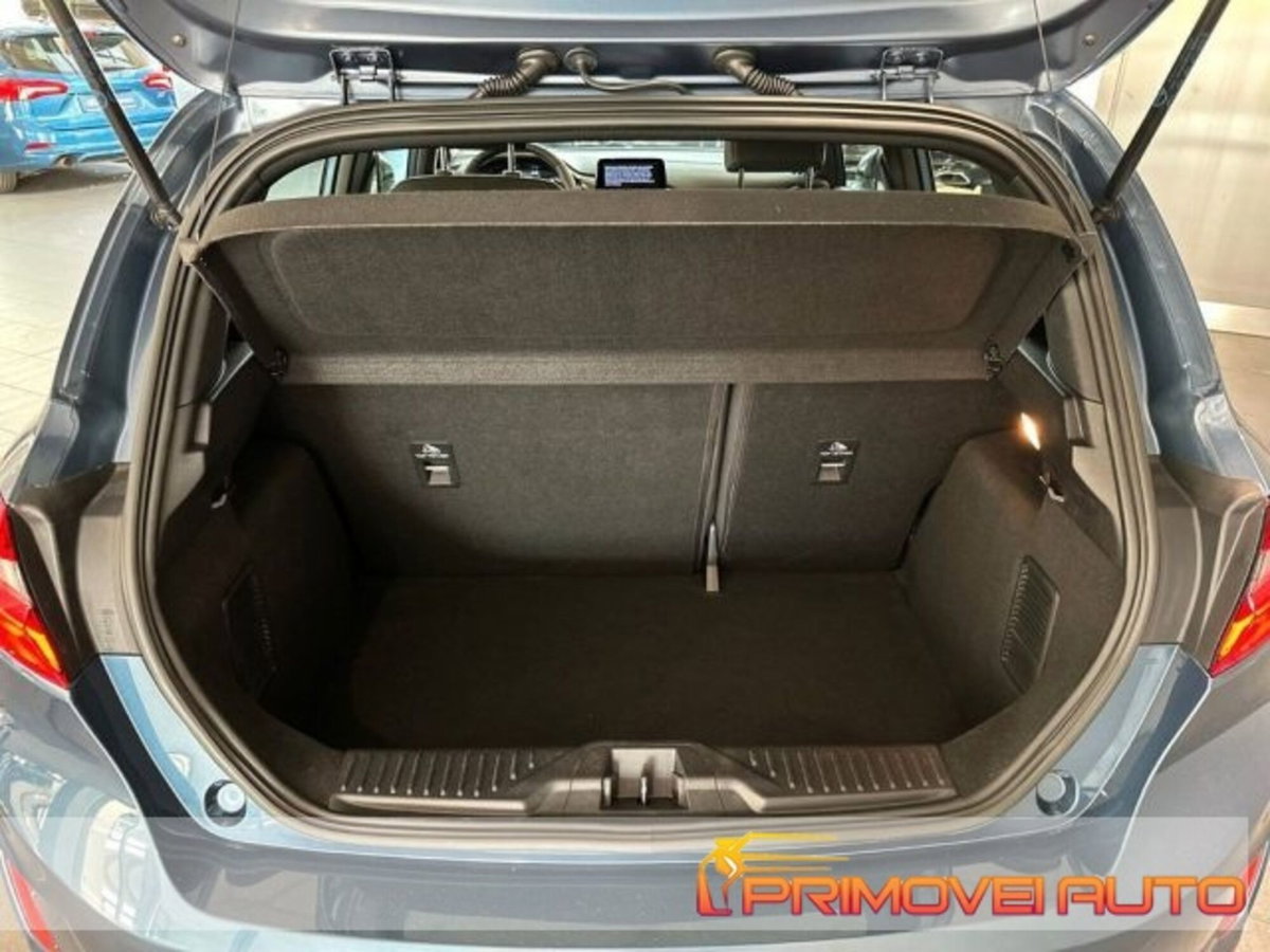 Ford Fiesta Active X 1.0 Ecoboost Hybrid 125 CV 5 porte (14)