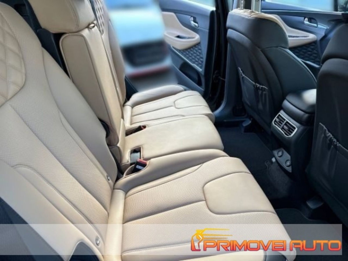 Hyundai Santa Fe 2.2 crdi Xclass 4wd 193cv 7p.ti dct (5)