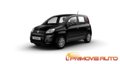 Fiat Panda 1.0 firefly hybrid s&s 70cv 5p.ti (13)