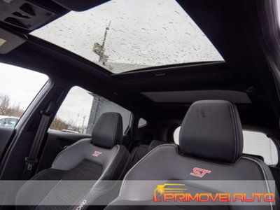 Ford Fiesta 1.5 Ecoboost 200 CV 5 porte ST (14)