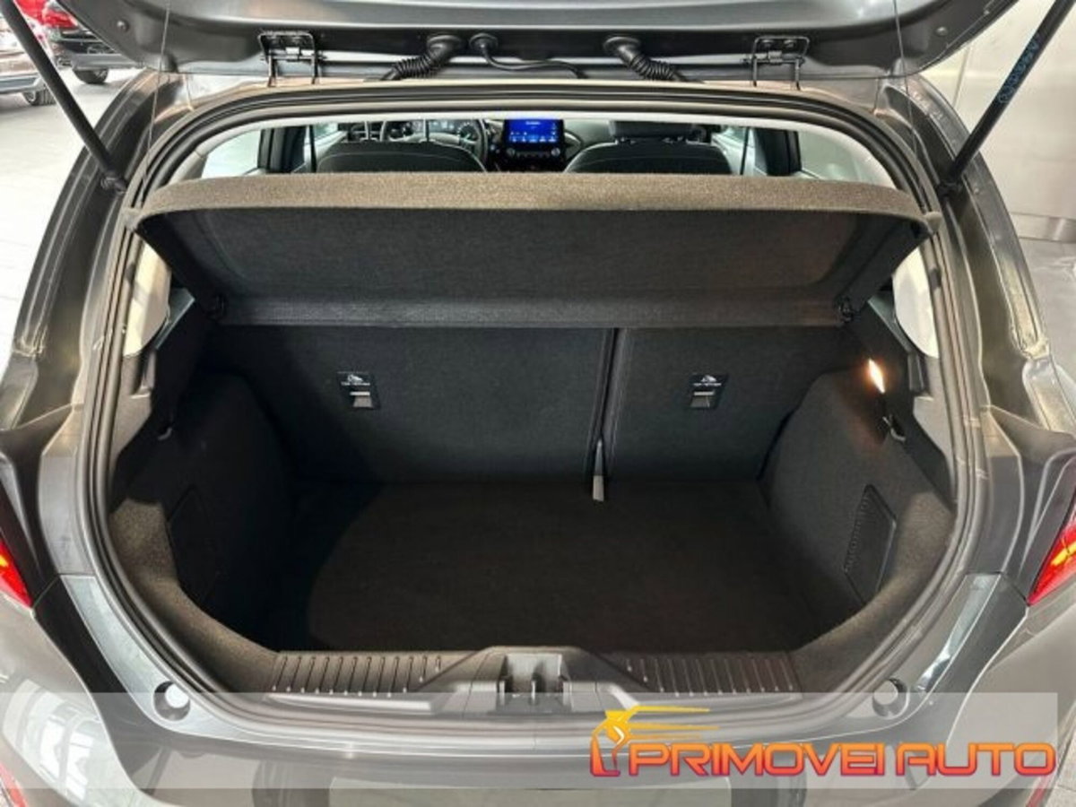 Ford Fiesta 1.0 Ecoboost Hybrid 125 CV 5 porte Titanium (13)