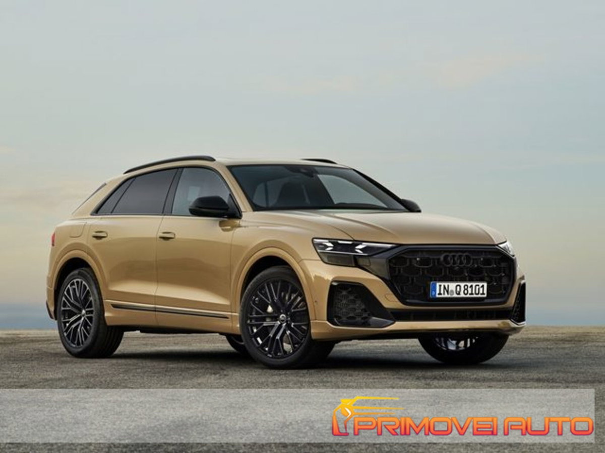 Audi Q8 Q8 50 TDI 286 CV quattro tiptronic Sport (13)
