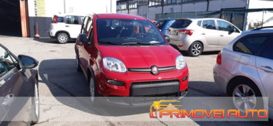 Fiat Panda 1.0 firefly hybrid s&s 70cv 5p.ti (2)