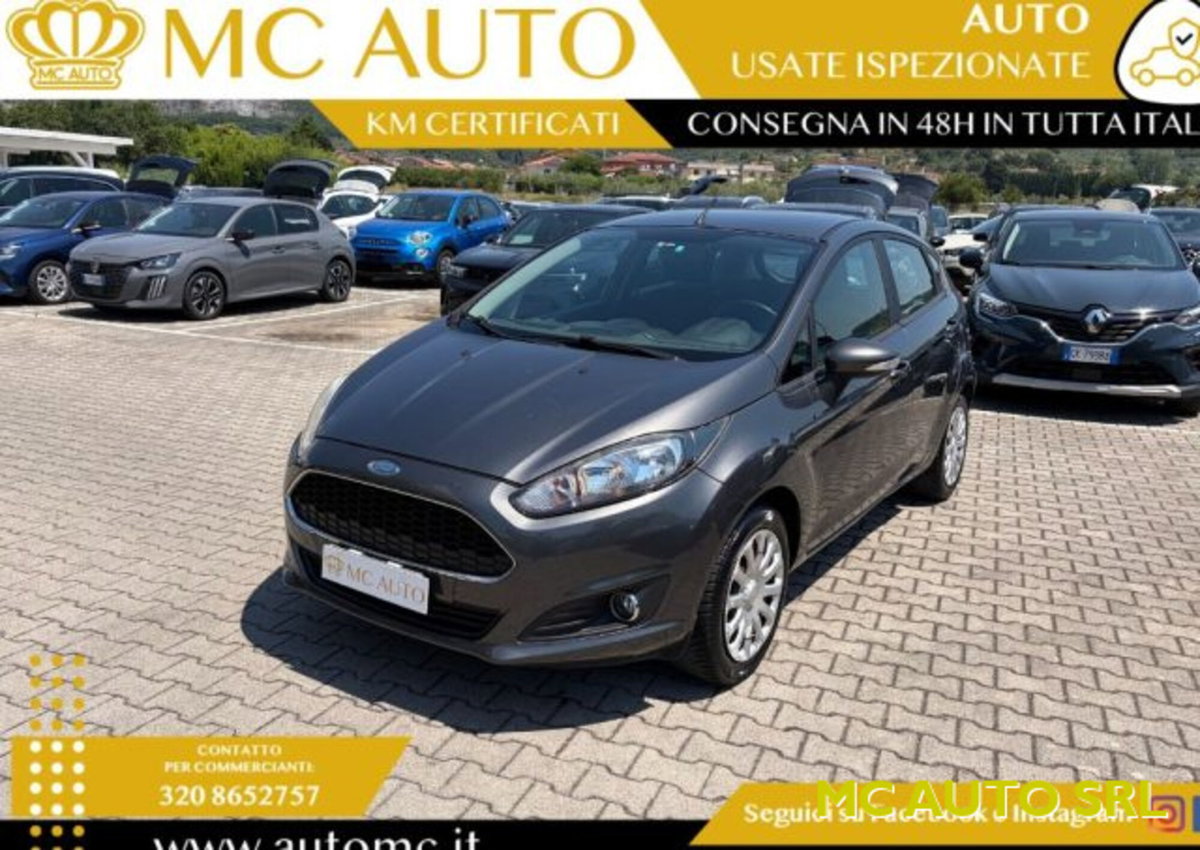 Ford Fiesta 1.0 80CV 5 porte (3)