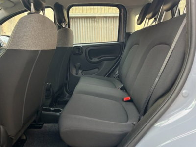 Fiat Panda 1.0 firefly hybrid s&s 70cv 5p.ti (11)