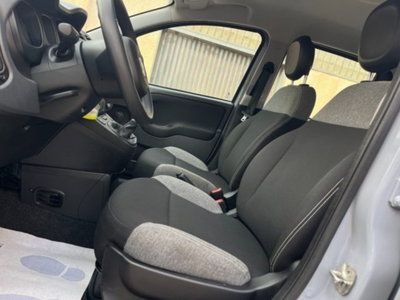 Fiat Panda 1.0 firefly hybrid s&s 70cv 5p.ti (12)