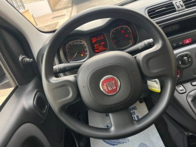 Fiat Panda 1.0 firefly hybrid s&s 70cv 5p.ti (15)