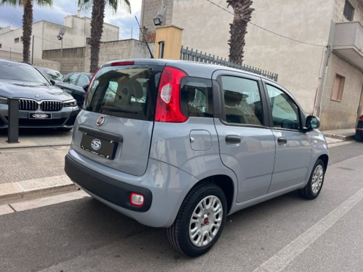 Fiat Panda 1.0 firefly hybrid s&s 70cv 5p.ti (2)