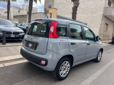 Fiat Panda 1.0 firefly hybrid s&s 70cv 5p.ti (2)