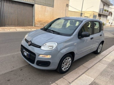 Fiat Panda 1.0 firefly hybrid s&s 70cv 5p.ti (6)
