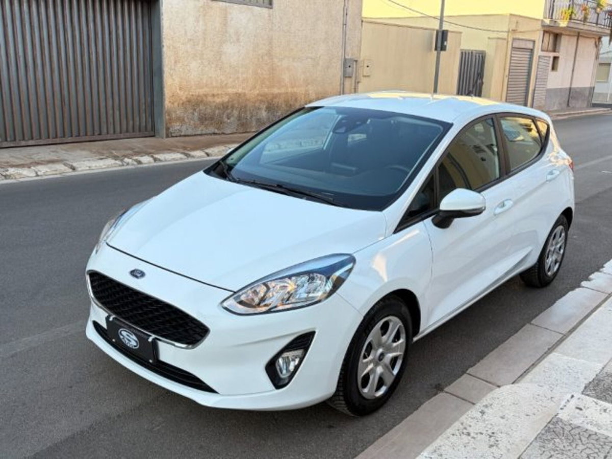 Ford Fiesta 1.5 EcoBlue 5 porte Business High (7)