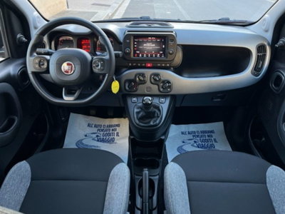 Fiat Panda 1.0 firefly hybrid s&s 70cv 5p.ti (15)