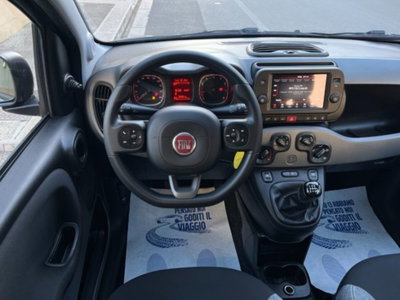 Fiat Panda 1.0 firefly hybrid s&s 70cv 5p.ti (16)