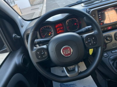 Fiat Panda 1.0 firefly hybrid s&s 70cv 5p.ti (19)