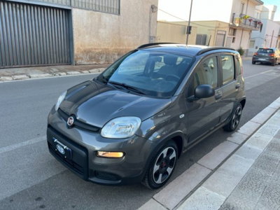 Fiat Panda 1.0 firefly hybrid s&s 70cv 5p.ti (7)