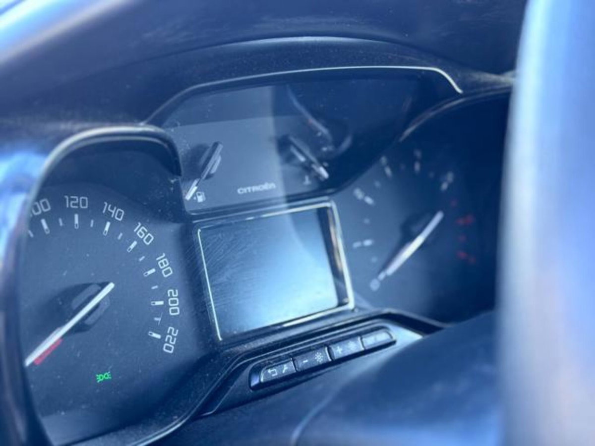 Citroen C3 BlueHDi 100 S&S Shine Pack (12)