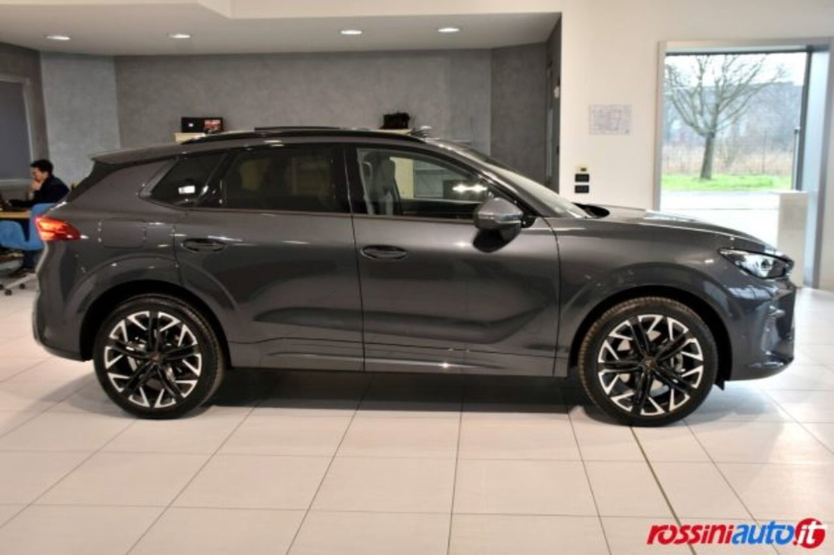 Cupra Terramar 1.5 e-hybrid Impulse 204cv dsg (6)