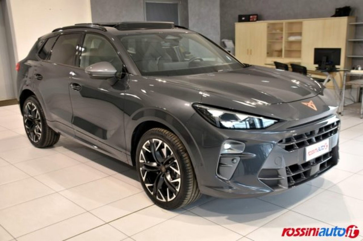 Cupra Terramar 1.5 e-hybrid Impulse 204cv dsg (7)